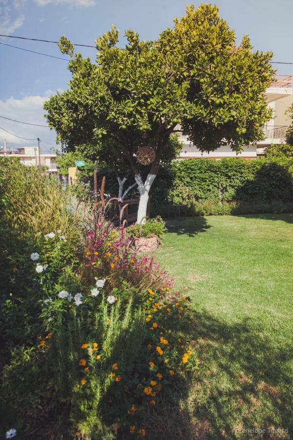 Small Guesthouse In The Garden アマリントス エクステリア 写真